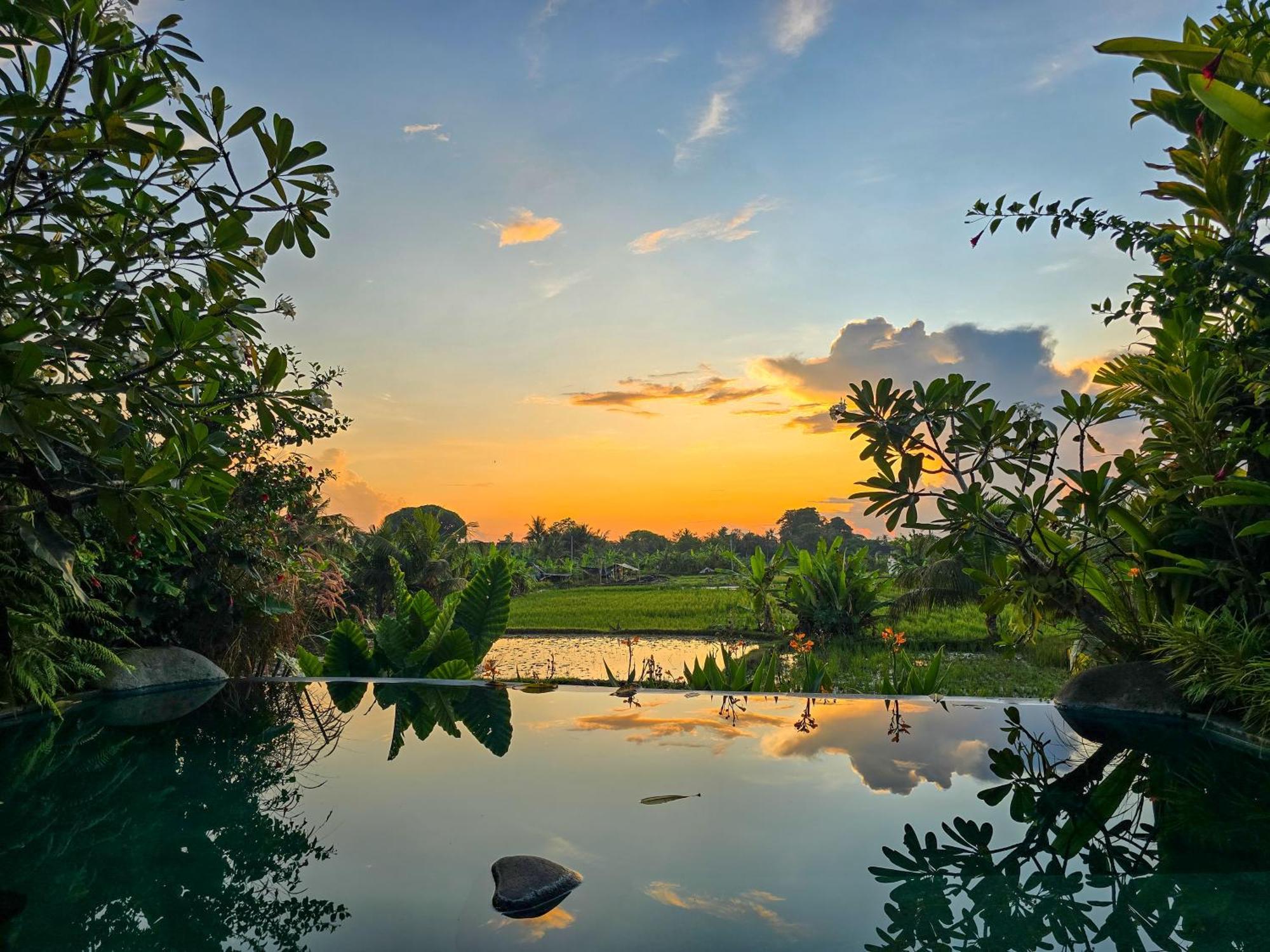 Uma Jala Villa Ubud Εξωτερικό φωτογραφία
